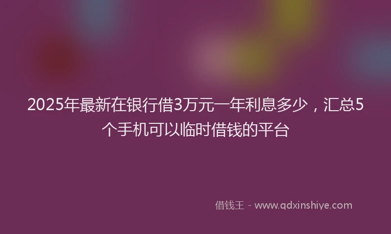 2025年最新在银行借3万元一年利息多少，汇总5个手机可以临时借钱的平台