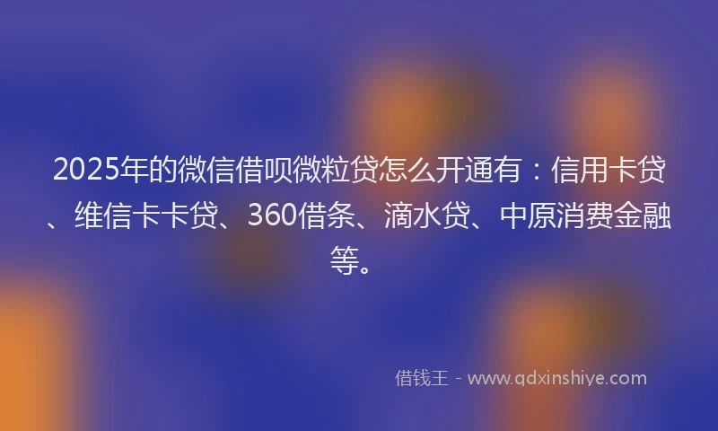 2025年的微信借呗微粒贷怎么开通有：信用卡贷、维信卡卡贷、360借条、滴水贷、中原消费金融等。