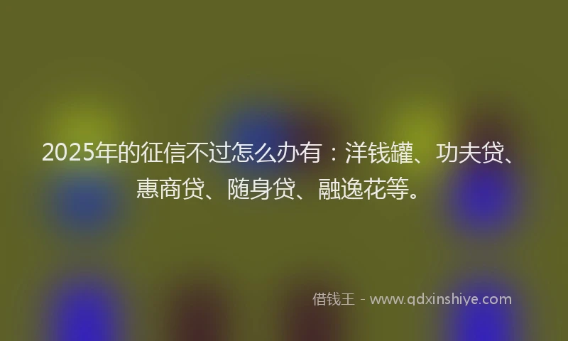 2025年的征信不过怎么办有：洋钱罐、功夫贷、惠商贷、随身贷、融逸花等。