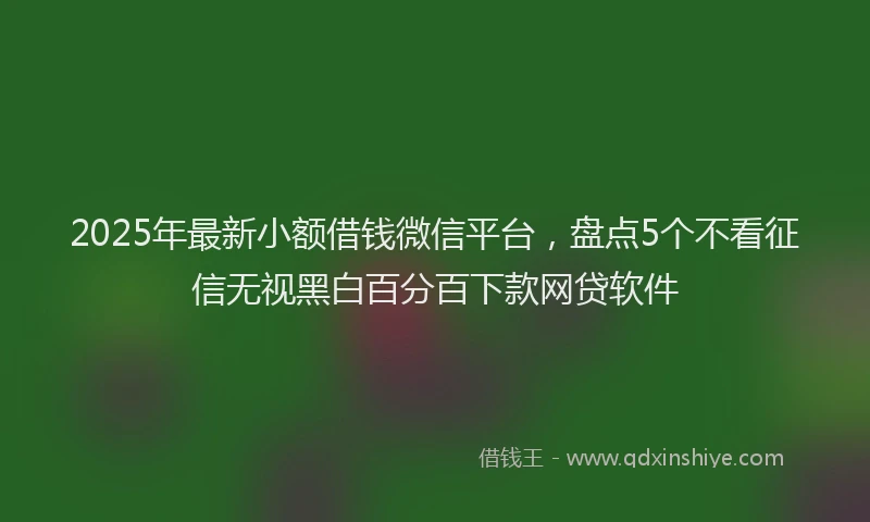 2025年最新小额借钱微信平台，盘点5个不看征信无视黑白百分百下款网贷软件