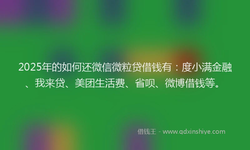 2025年的如何还微信微粒贷借钱有：度小满金融、我来贷、美团生活费、省呗、微博借钱等。