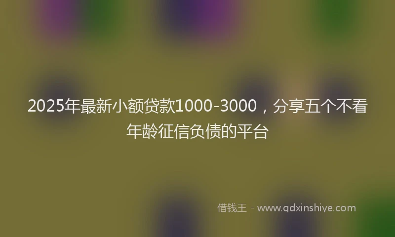 2025年最新小额贷款1000-3000，分享五个不看年龄征信负债的平台