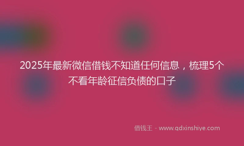 2025年最新微信借钱不知道任何信息，梳理5个不看年龄征信负债的口子