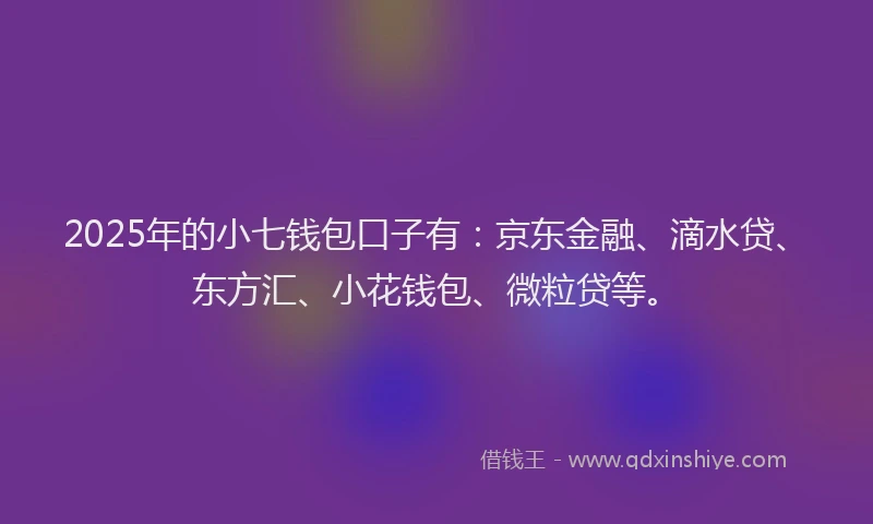 2025年的小七钱包口子有：京东金融、滴水贷、东方汇、小花钱包、微粒贷等。