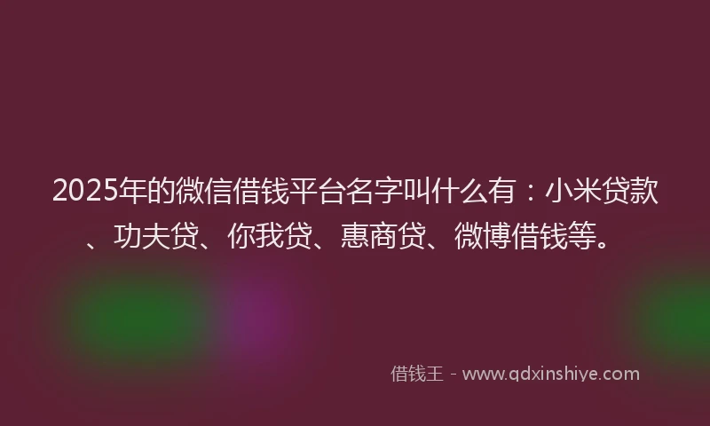 2025年的微信借钱平台名字叫什么有：小米贷款、功夫贷、你我贷、惠商贷、微博借钱等。