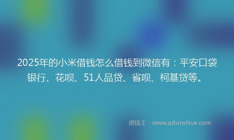 2025年的小米借钱怎么借钱到微信有：平安口袋银行、花呗、51人品贷、省呗、柯基贷等。