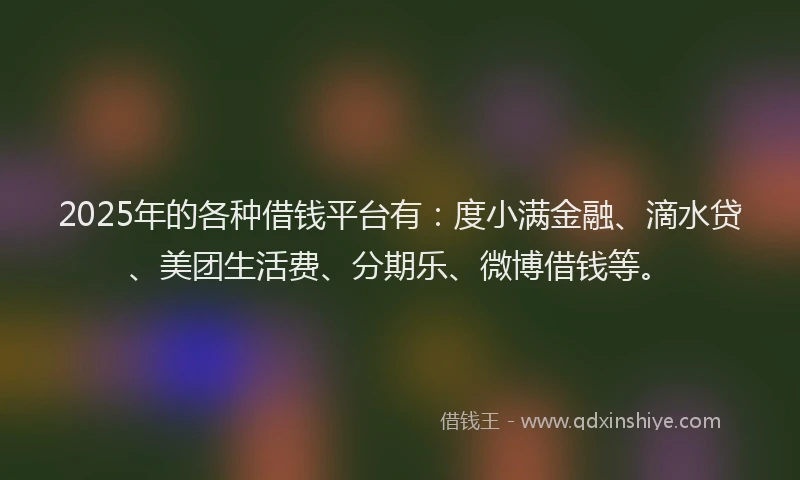 2025年的各种借钱平台有：度小满金融、滴水贷、美团生活费、分期乐、微博借钱等。
