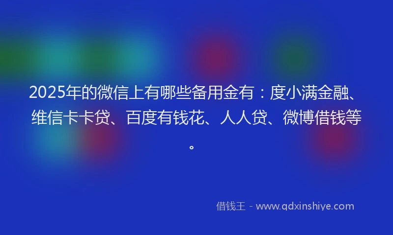 2025年的微信上有哪些备用金有：度小满金融、维信卡卡贷、百度有钱花、人人贷、微博借钱等。