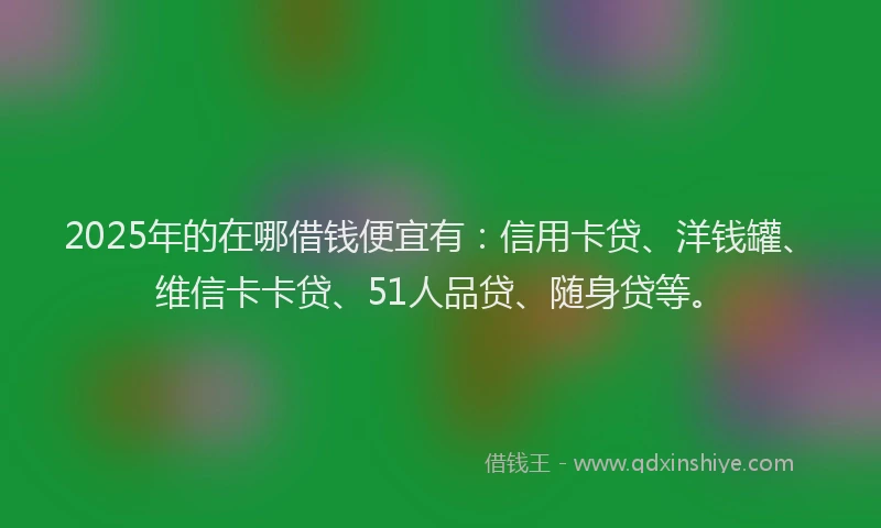 2025年的在哪借钱便宜有：信用卡贷、洋钱罐、维信卡卡贷、51人品贷、随身贷等。