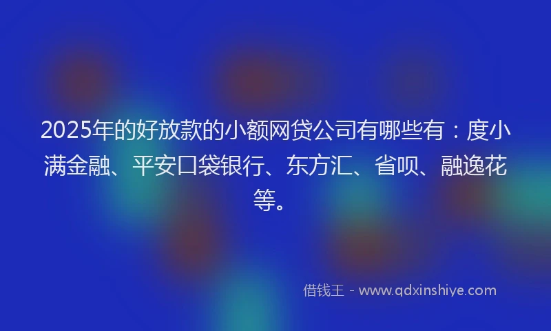 2025年的好放款的小额网贷公司有哪些有：度小满金融、平安口袋银行、东方汇、省呗、融逸花等。