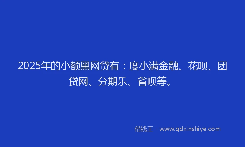 2025年的小额黑网贷有：度小满金融、花呗、团贷网、分期乐、省呗等。