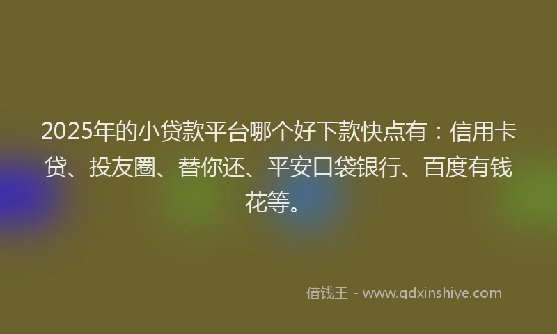 2025年的小贷款平台哪个好下款快点有：信用卡贷、投友圈、替你还、平安口袋银行、百度有钱花等。