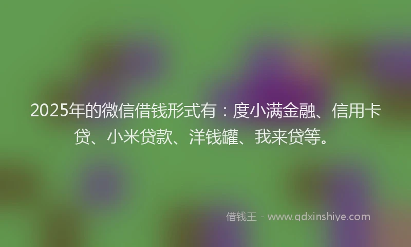 2025年的微信借钱形式有：度小满金融、信用卡贷、小米贷款、洋钱罐、我来贷等。