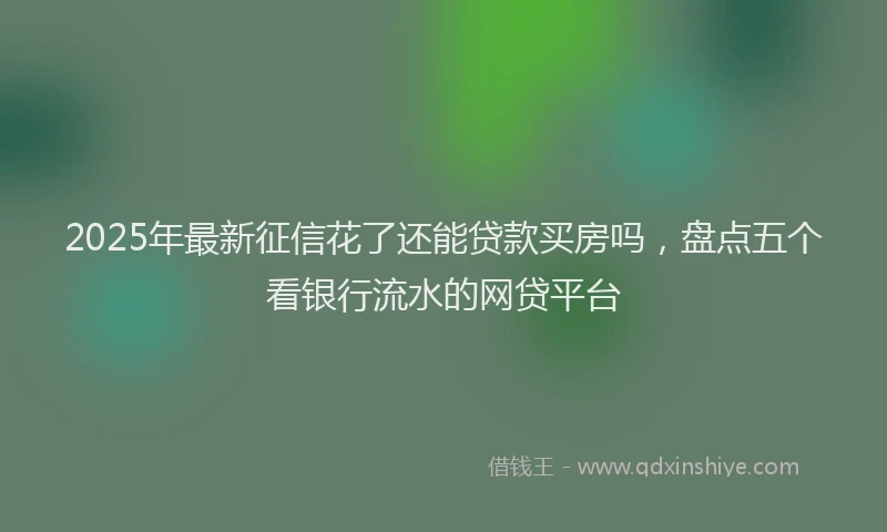 2025年最新征信花了还能贷款买房吗，盘点五个看银行流水的网贷平台