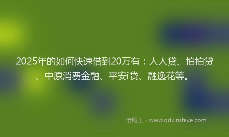 2025年的如何快速借到20万有：人人贷、拍拍贷、中原消费金融、平安i贷、融逸花等。