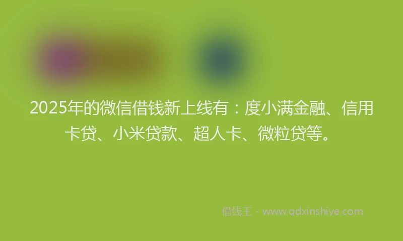 2025年的微信借钱新上线有：度小满金融、信用卡贷、小米贷款、超人卡、微粒贷等。