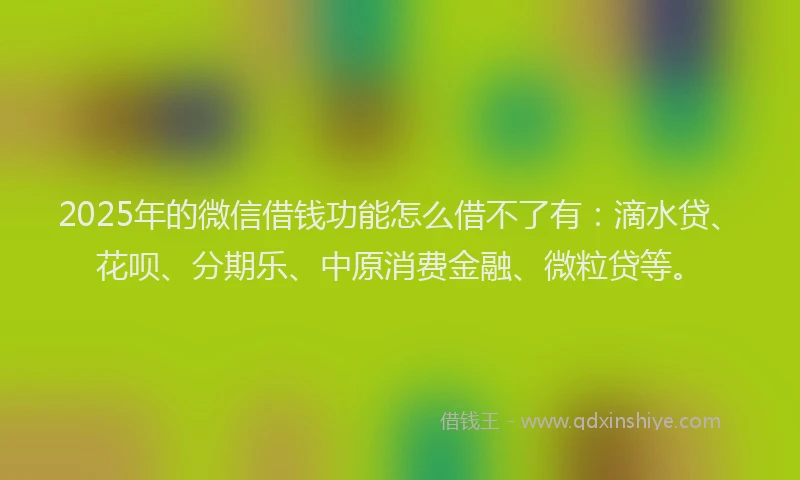 2025年的微信借钱功能怎么借不了有：滴水贷、花呗、分期乐、中原消费金融、微粒贷等。