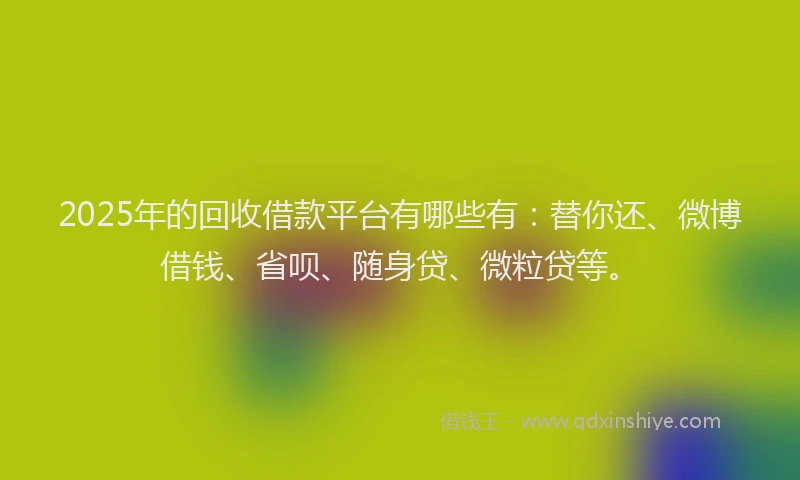 2025年的回收借款平台有哪些有：替你还、微博借钱、省呗、随身贷、微粒贷等。