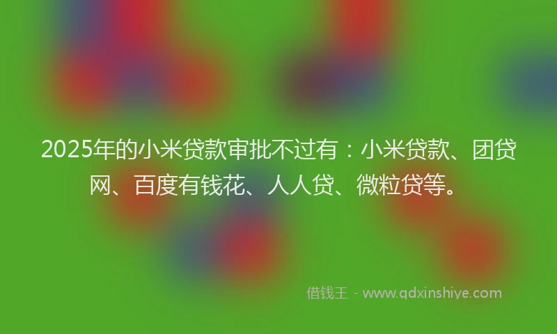 2025年的小米贷款审批不过有：小米贷款、团贷网、百度有钱花、人人贷、微粒贷等。