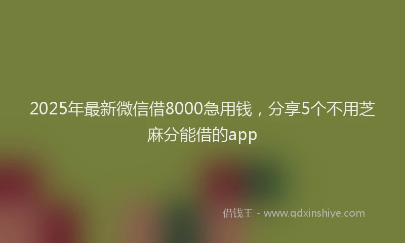 2025年最新微信借8000急用钱，分享5个不用芝麻分能借的app