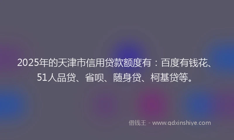 2025年的天津市信用贷款额度有：百度有钱花、51人品贷、省呗、随身贷、柯基贷等。