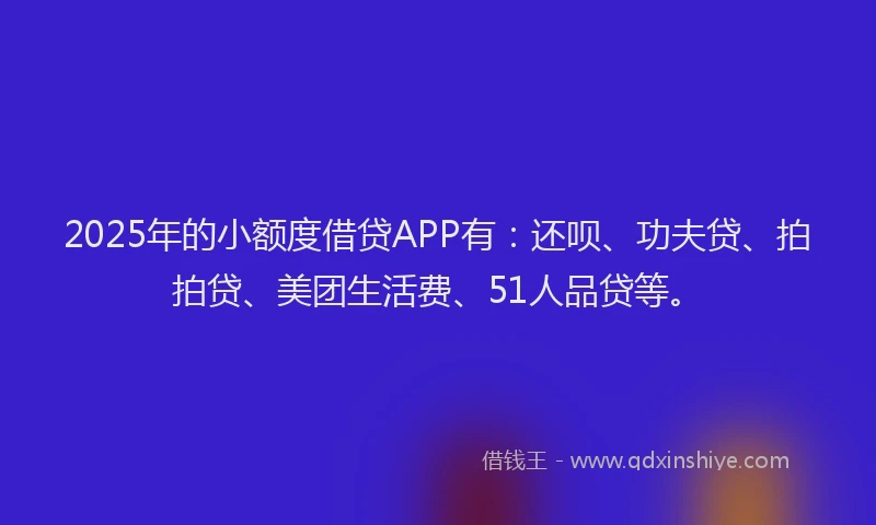 2025年的小额度借贷APP有：还呗、功夫贷、拍拍贷、美团生活费、51人品贷等。