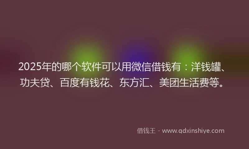 2025年的哪个软件可以用微信借钱有：洋钱罐、功夫贷、百度有钱花、东方汇、美团生活费等。