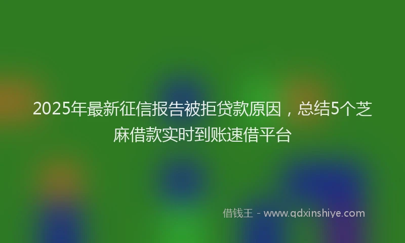 2025年最新征信报告被拒贷款原因，总结5个芝麻借款实时到账速借平台