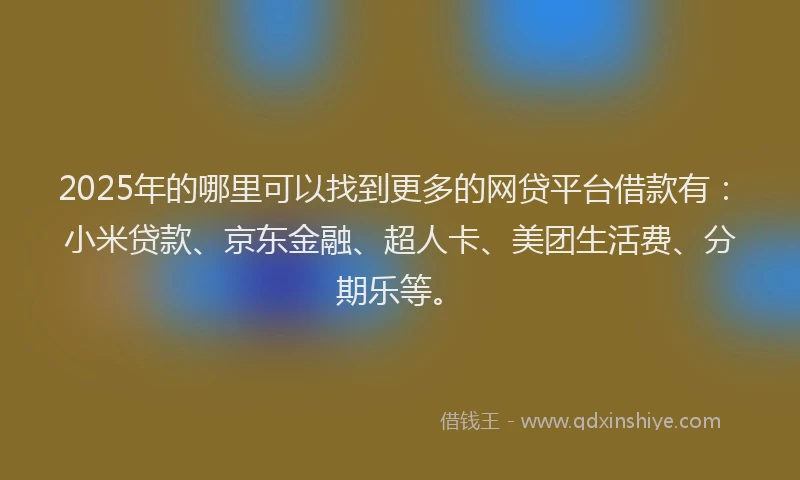 2025年的哪里可以找到更多的网贷平台借款有：小米贷款、京东金融、超人卡、美团生活费、分期乐等。