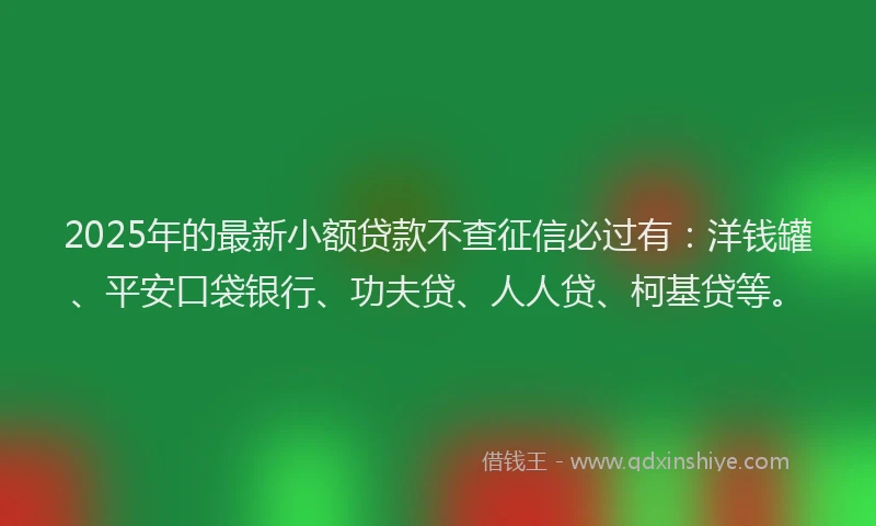 2025年的最新小额贷款不查征信必过有：洋钱罐、平安口袋银行、功夫贷、人人贷、柯基贷等。