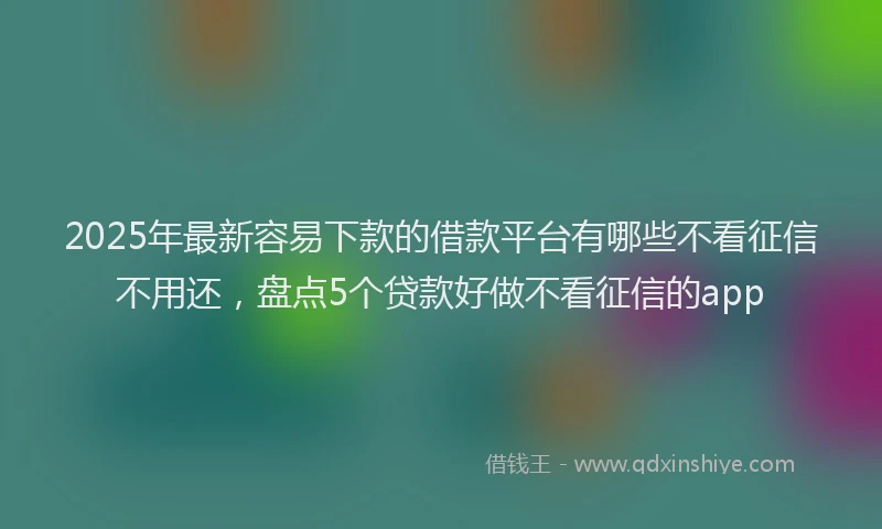 2025年最新容易下款的借款平台有哪些不看征信不用还，盘点5个贷款好做不看征信的app