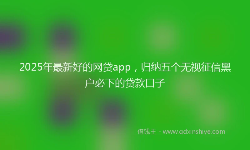 2025年最新好的网贷app，归纳五个无视征信黑户必下的贷款口子