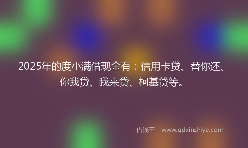 2025年的度小满借现金有：信用卡贷、替你还、你我贷、我来贷、柯基贷等。