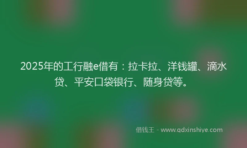 2025年的工行融e借有：拉卡拉、洋钱罐、滴水贷、平安口袋银行、随身贷等。