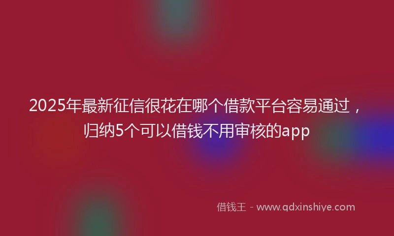 2025年最新征信很花在哪个借款平台容易通过，归纳5个可以借钱不用审核的app