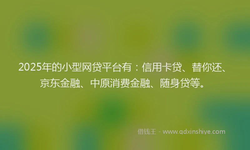 2025年的小型网贷平台有：信用卡贷、替你还、京东金融、中原消费金融、随身贷等。