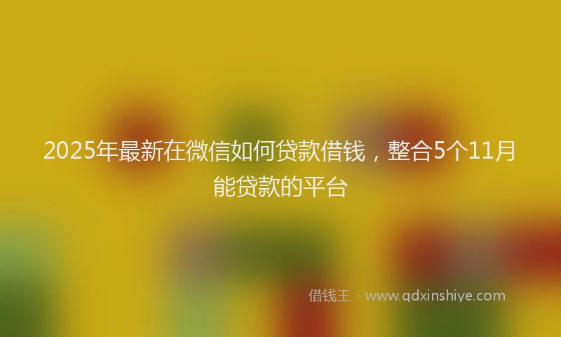 2025年最新在微信如何贷款借钱，整合5个11月能贷款的平台