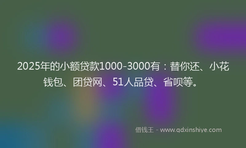 2025年的小额贷款1000-3000有：替你还、小花钱包、团贷网、51人品贷、省呗等。