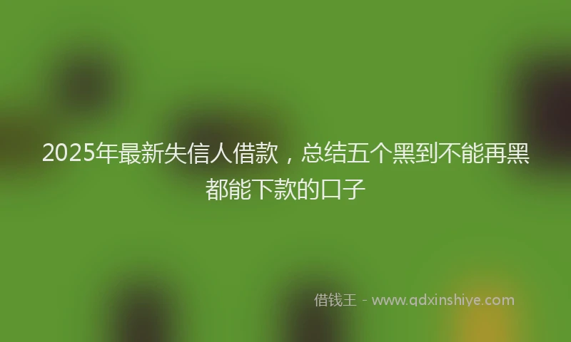 2025年最新失信人借款，总结五个黑到不能再黑都能下款的口子