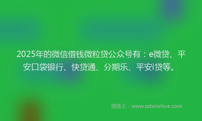 2025年的微信借钱微粒贷公众号有：e微贷、平安口袋银行、快贷通、分期乐、平安i贷等。