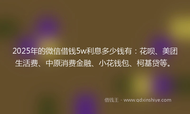 2025年的微信借钱5w利息多少钱有：花呗、美团生活费、中原消费金融、小花钱包、柯基贷等。