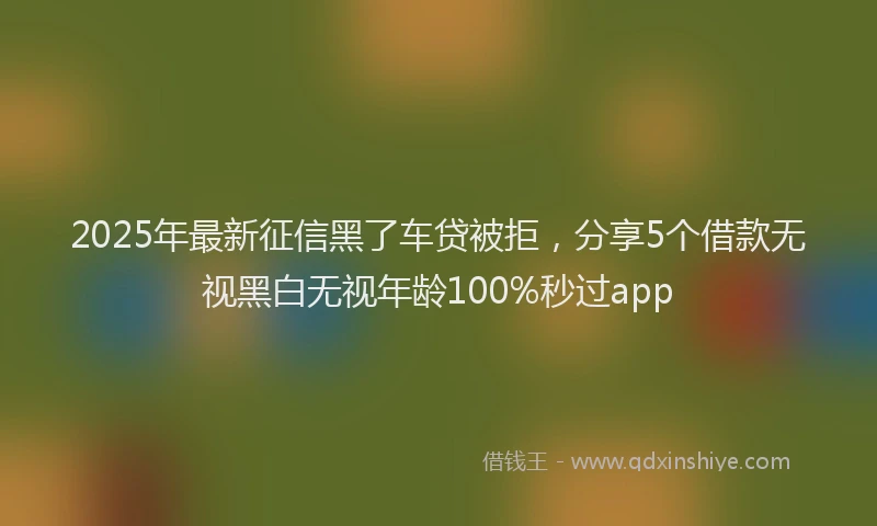2025年最新征信黑了车贷被拒，分享5个借款无视黑白无视年龄100%秒过app