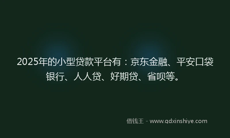 2025年的小型贷款平台有：京东金融、平安口袋银行、人人贷、好期贷、省呗等。