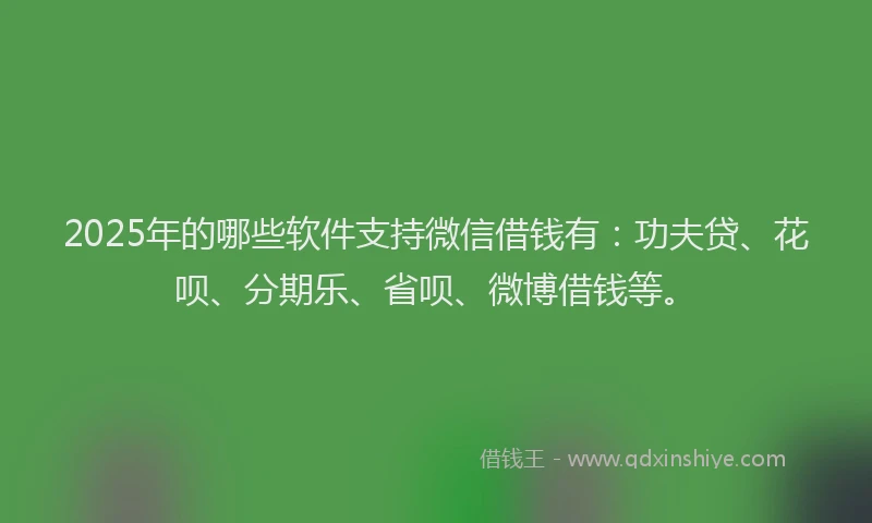2025年的哪些软件支持微信借钱有：功夫贷、花呗、分期乐、省呗、微博借钱等。