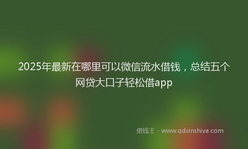 2025年最新在哪里可以微信流水借钱，总结五个网贷大口子轻松借app