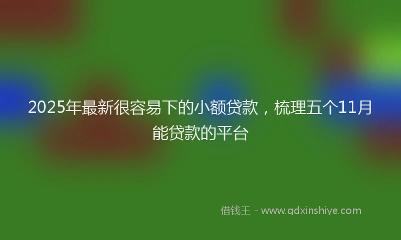 2025年最新很容易下的小额贷款，梳理五个11月能贷款的平台