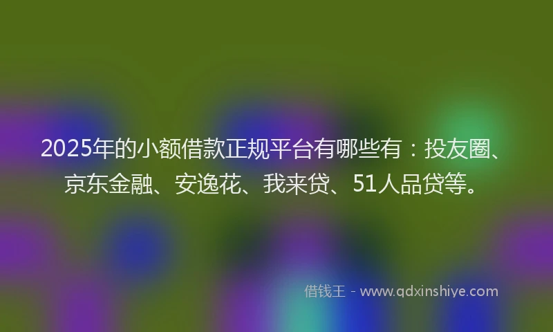 2025年的小额借款正规平台有哪些有：投友圈、京东金融、安逸花、我来贷、51人品贷等。