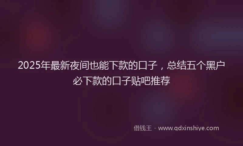 2025年最新夜间也能下款的口子，总结五个黑户必下款的口子贴吧推荐