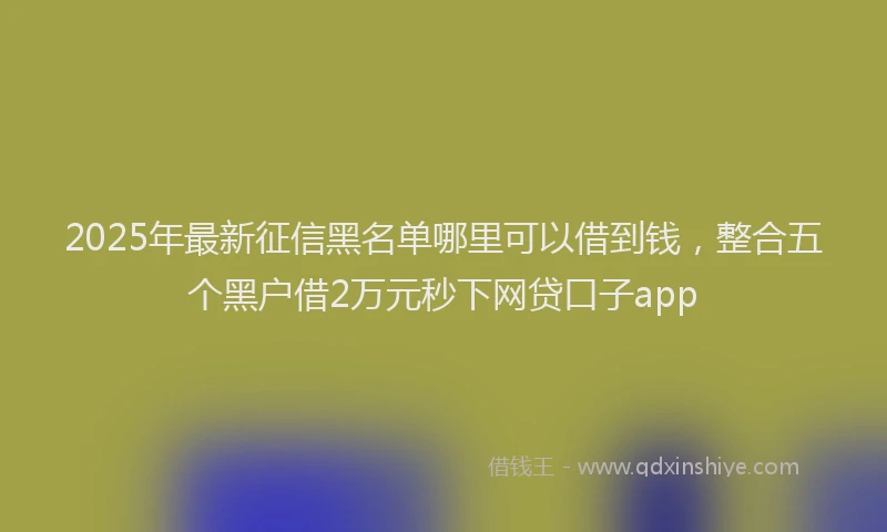 2025年最新征信黑名单哪里可以借到钱，整合五个黑户借2万元秒下网贷口子app