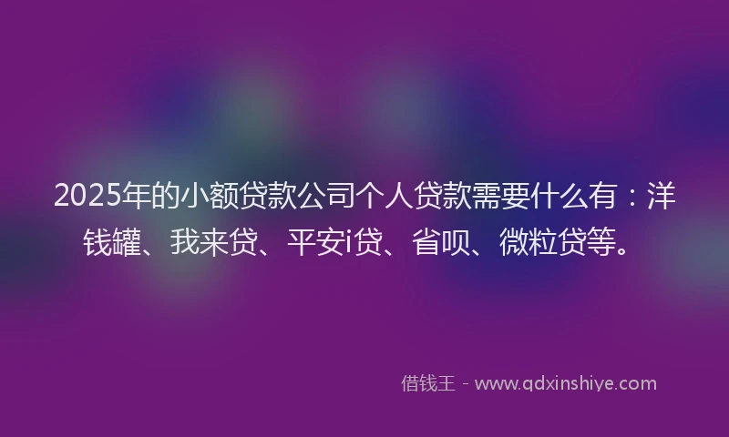 2025年的小额贷款公司个人贷款需要什么有：洋钱罐、我来贷、平安i贷、省呗、微粒贷等。